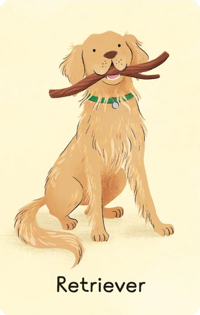 Dogs Snap GB - Cards