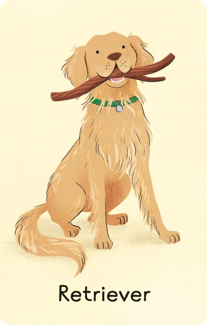 Dogs Snap GB - Cards