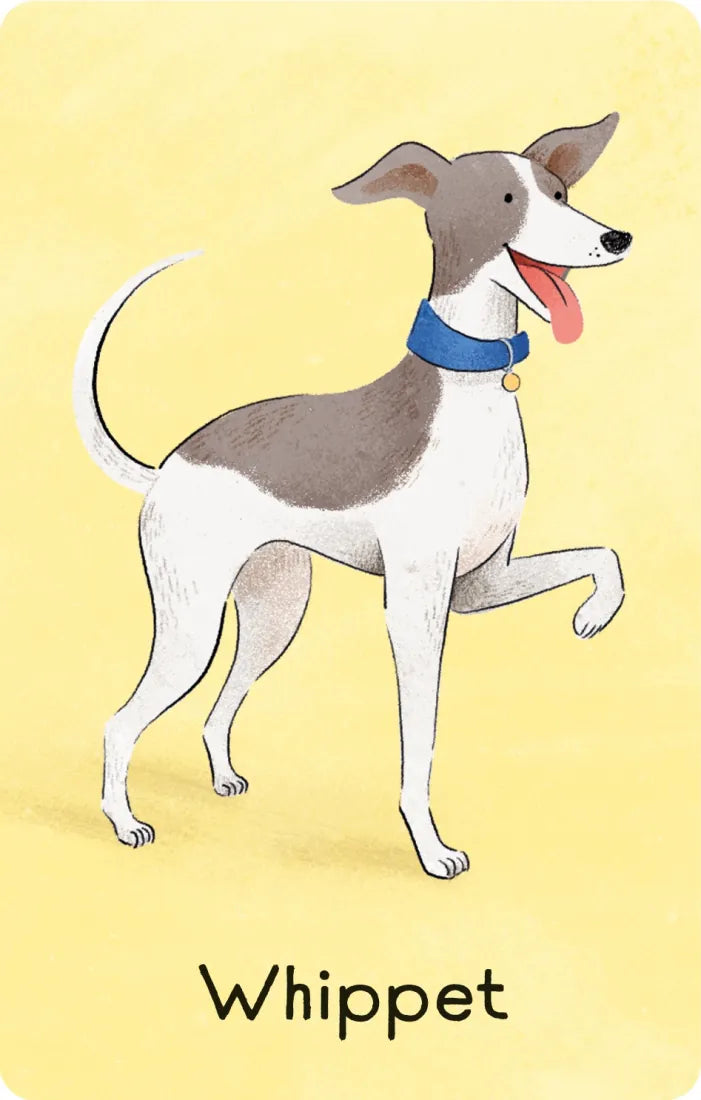 Dogs Snap GB - Cards