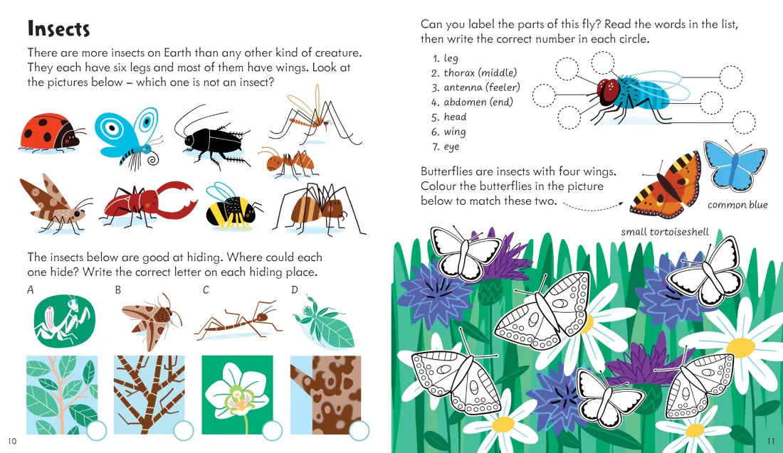 Activity Book Nature GB - Paperback / softback