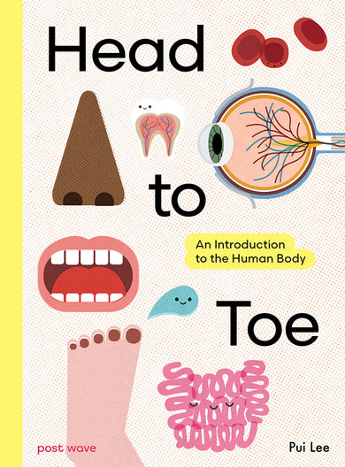 Head to Toe-Children’s / Teenage general interest: Science and technology-買書書 BuyBookBook