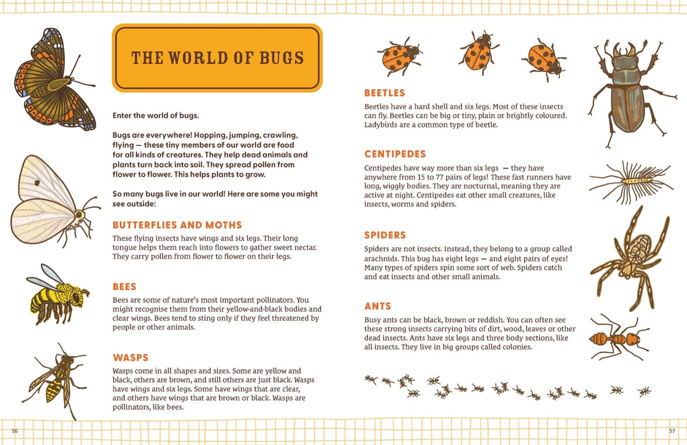 Lonely Planet Kids Explorer's Nature Journal inside page 10