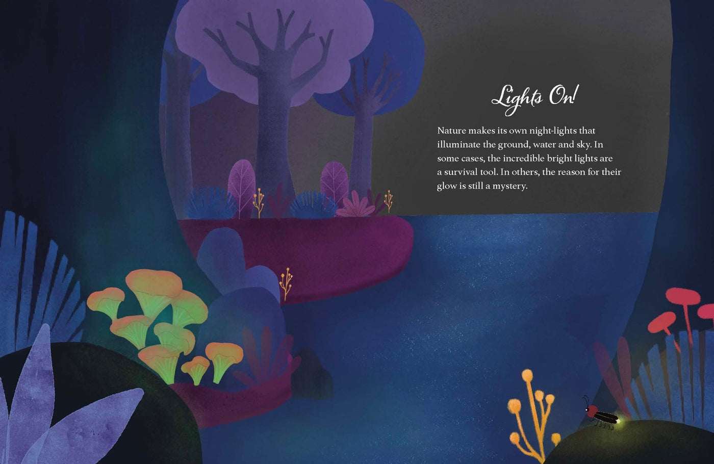 Lonely Planet Kids Good Night, Earth inside page 7