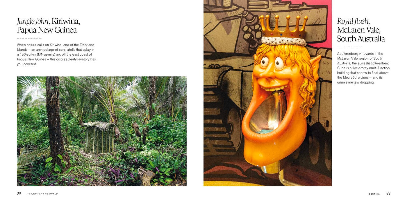 Lonely Planet Toilets of the World inside page 9