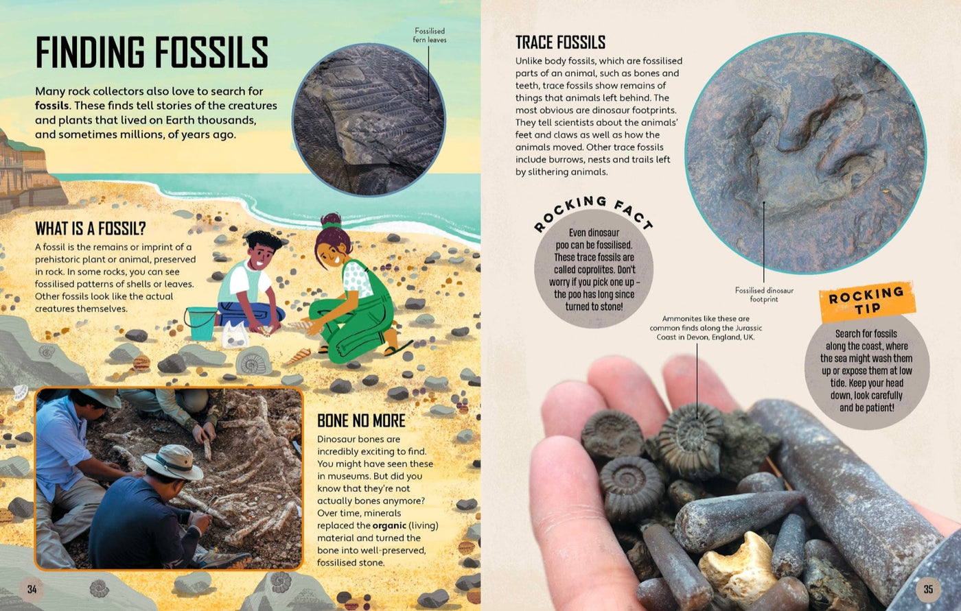 Lonely Planet Kids Let's Go Rock Collecting inside page 8