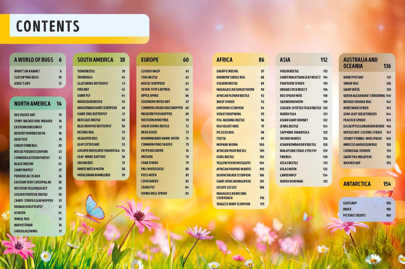Lonely Planet Kids The Bugs Book inside page 1
