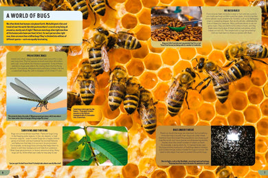Lonely Planet Kids The Bugs Book inside page 2