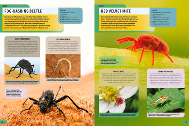Lonely Planet Kids The Bugs Book inside page 6