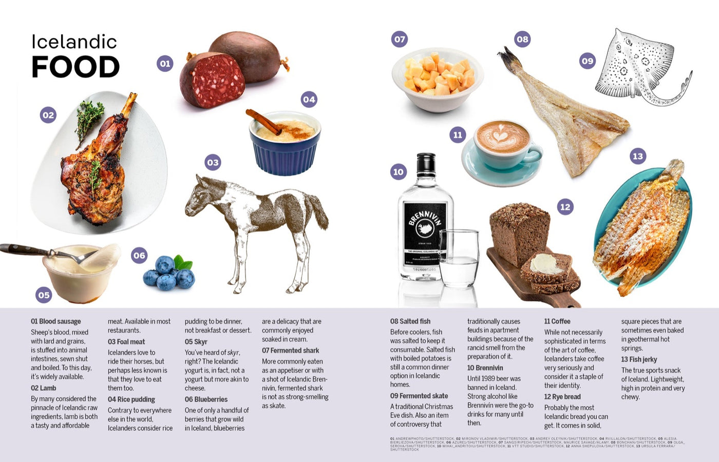 Lonely Planet Experience Iceland inside page 10