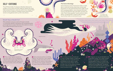 Obsessive About Octopuses US - Paperback / softback