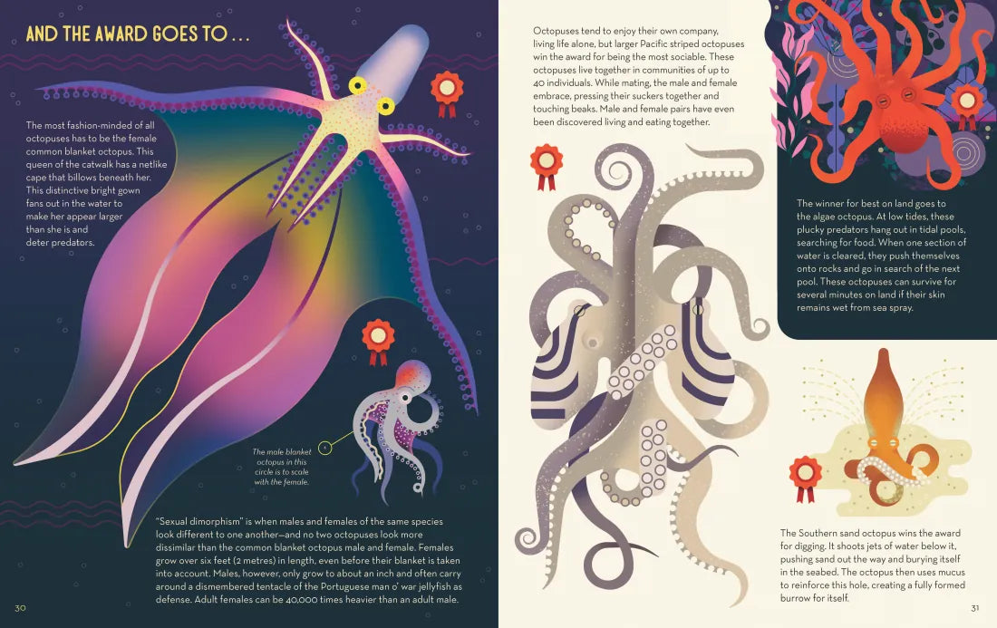 Obsessive About Octopuses US - Paperback / softback