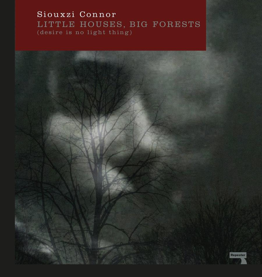 Little Houses, Big Forests-True stories and non-fiction prose-買書書 BuyBookBook