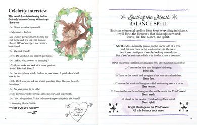 Hettie Nettle's Handbook for Hedgewitches US - Hardback