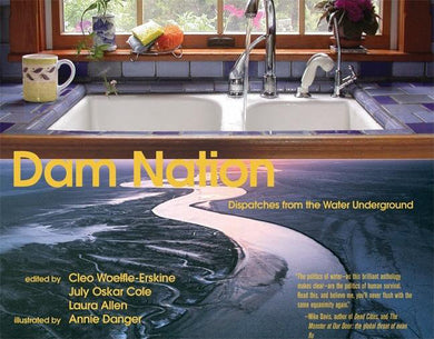 Dam Nation-Technology/ Engineering/ Industrial processes-買書書 BuyBookBook
