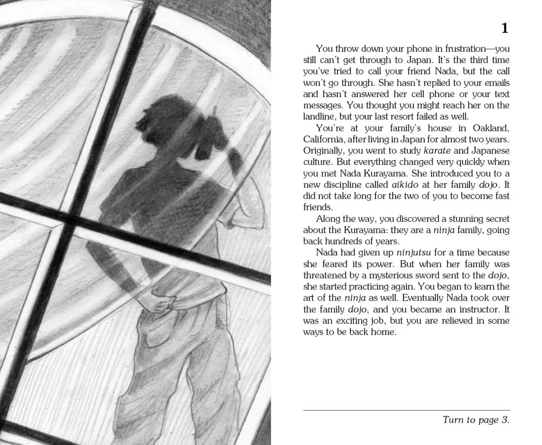 The Lost Ninja US - Paperback / softback