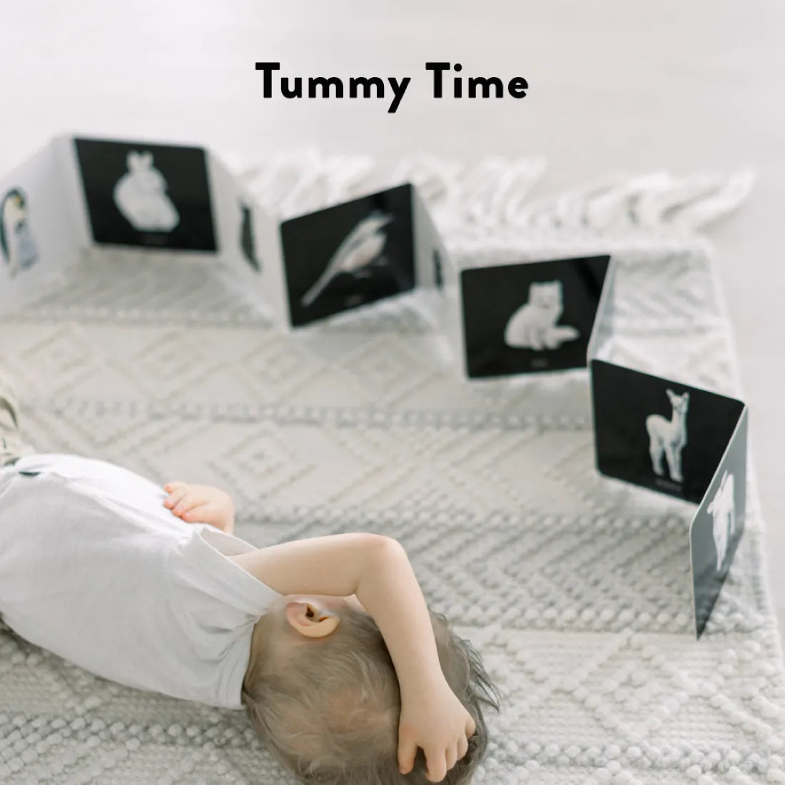 Baby's Black and White Contrast Book US - Board book