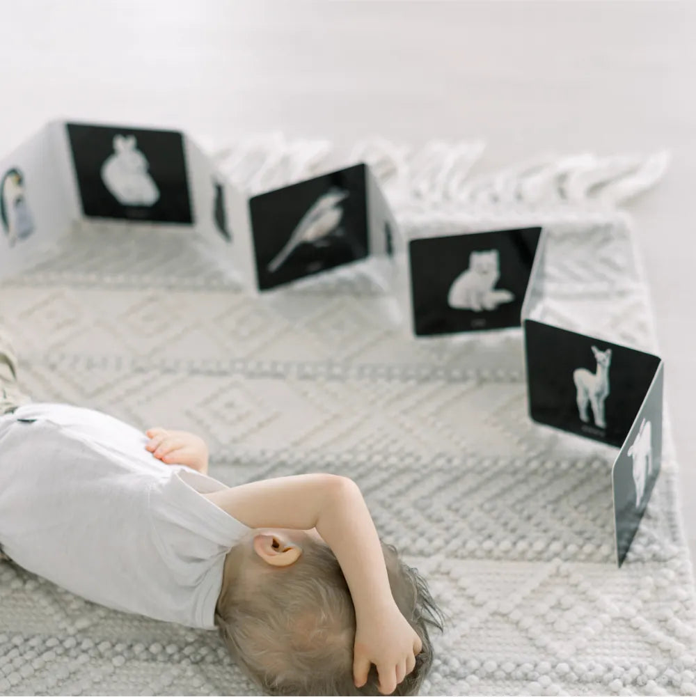 Baby's Black and White Contrast Book US - Board book