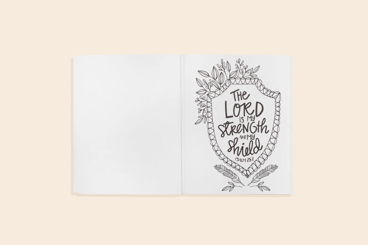 Beauty in the Bible US - Paperback / softback