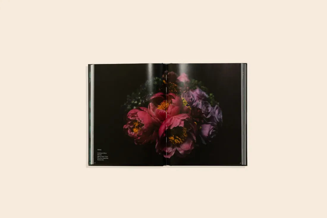 Transplants US - Hardback