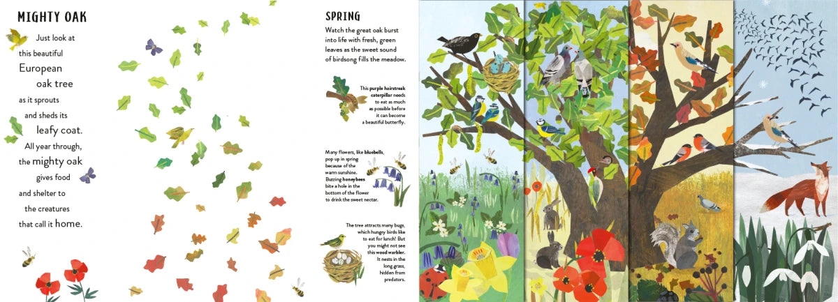 Seasons US - Hardback