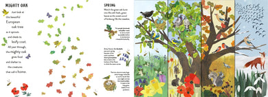 Seasons US - Hardback