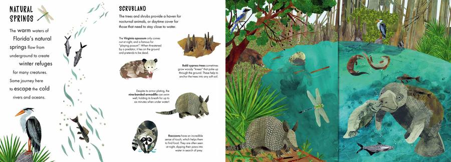 Habitats US - Hardback
