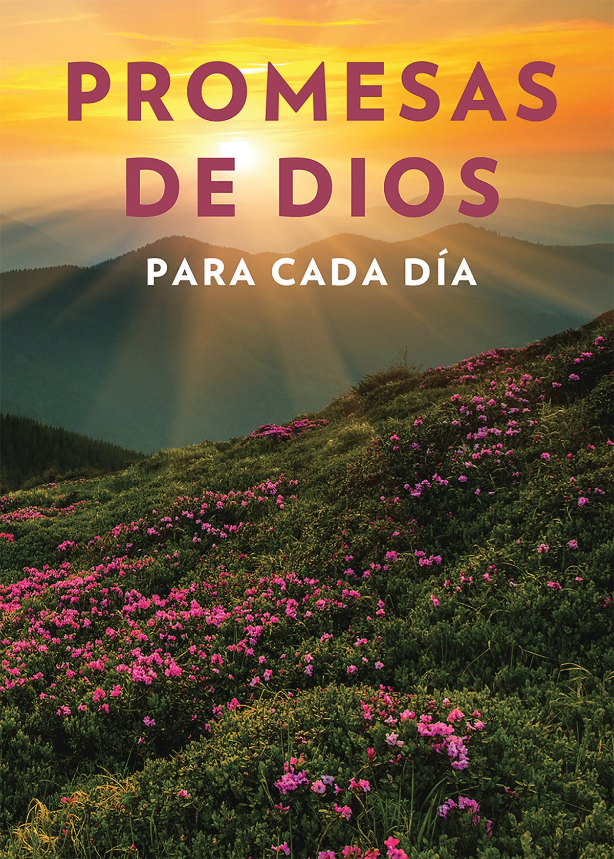Promesas de Dios para cada día / God's Promises for Every Day cover (ISBN 9781949061567)