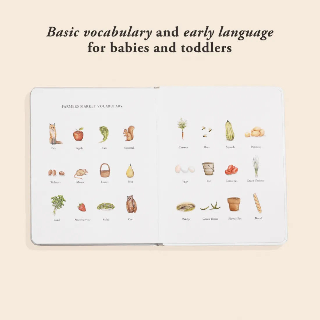Our Little Adventure to the Farmers Market US - Board book