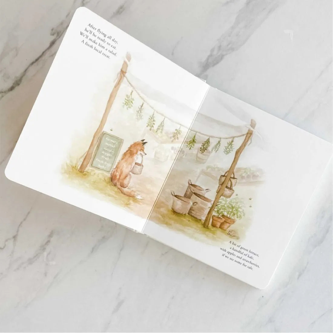 Our Little Adventure to the Farmers Market US - Board book