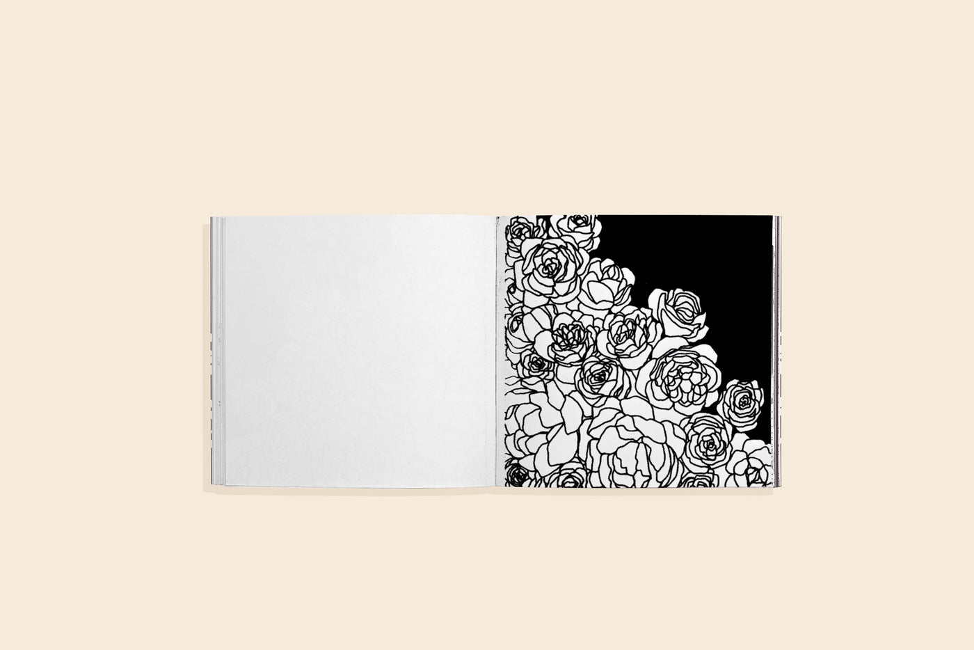 Bloom (Mini) US - Paperback / softback