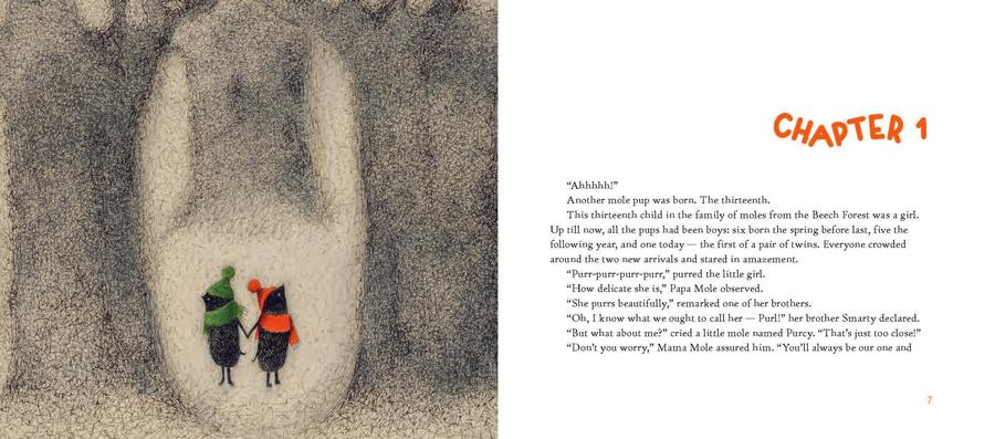 Who Will Make the Snow? US - Hardback