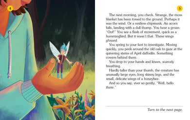 Fairy House US - Paperback / softback