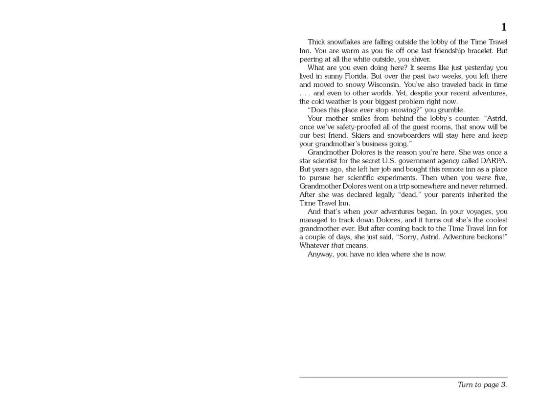 Time Travel Inn 2 US - Paperback / softback