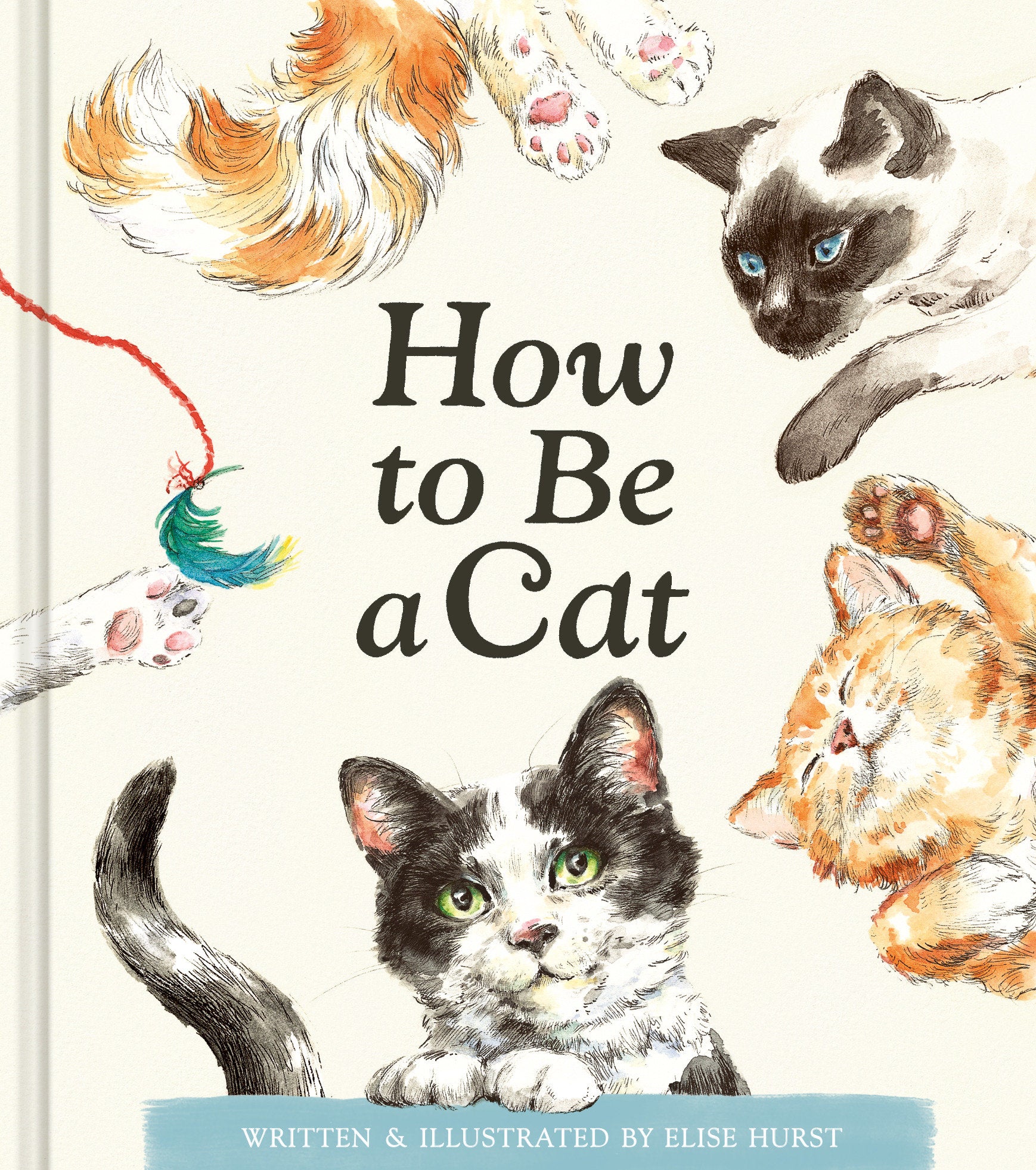 How to Be a Cat
