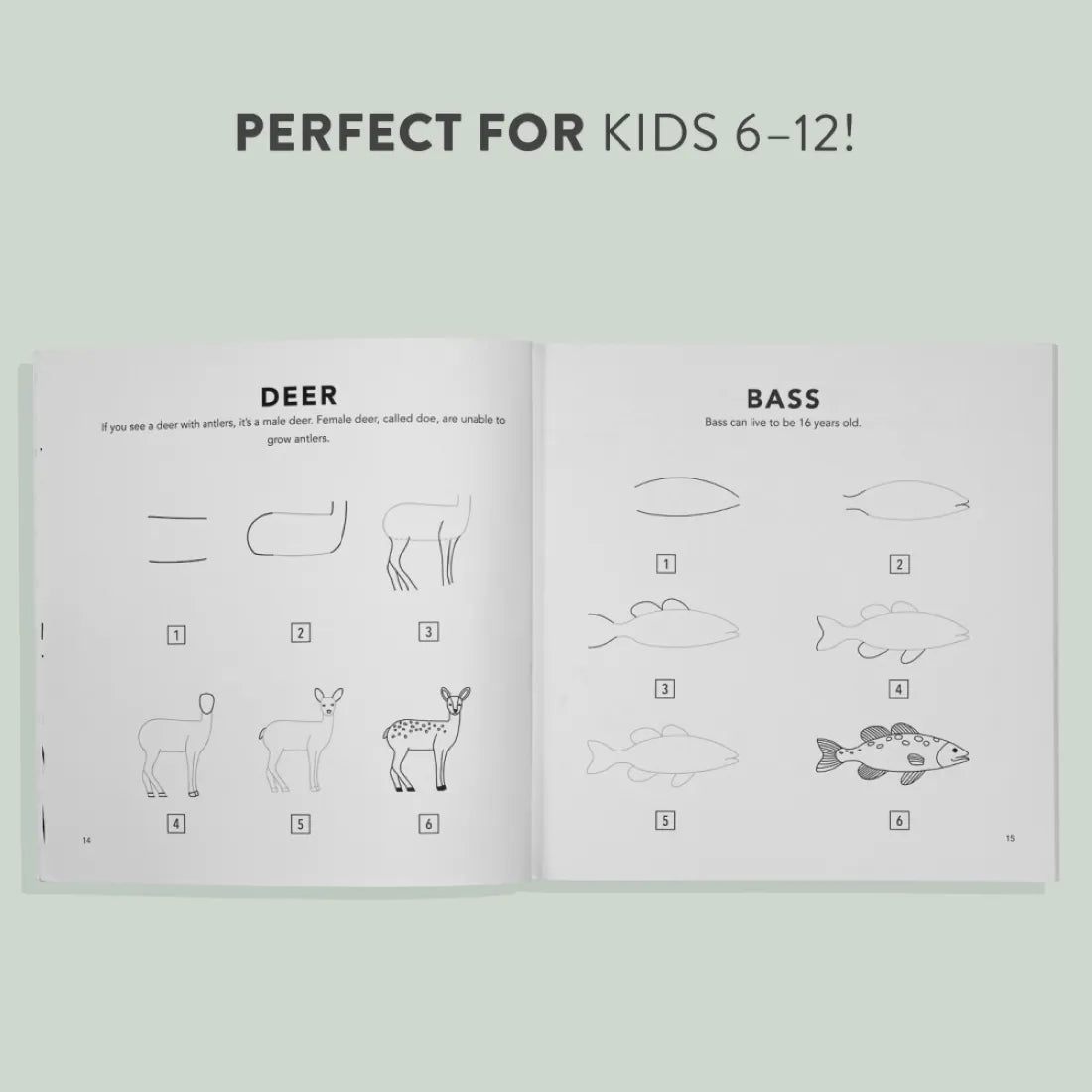 Mushrooms & Woodland Creatures: How to Draw Books for Kids with Woodland Creatures, Bugs, Plants, and Fungi US - Paperback / softback