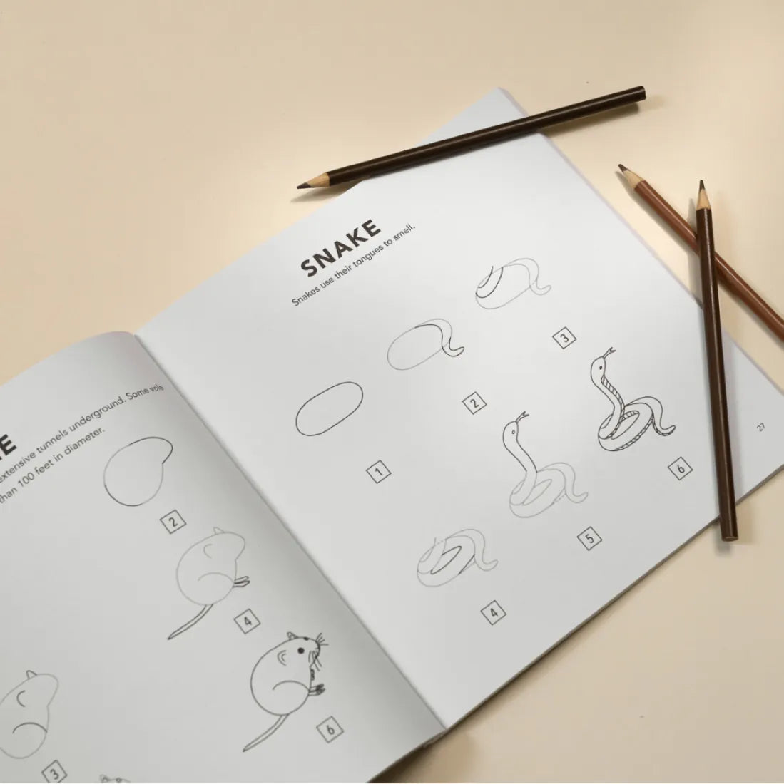 Mushrooms & Woodland Creatures: How to Draw Books for Kids with Woodland Creatures, Bugs, Plants, and Fungi US - Paperback / softback