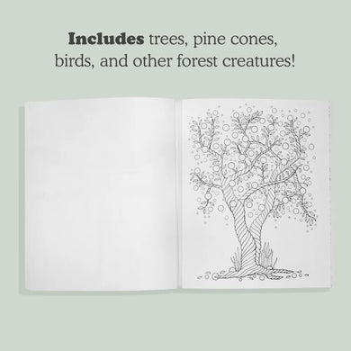 Soul of the Woodland US - Paperback / softback (9781958803745)
