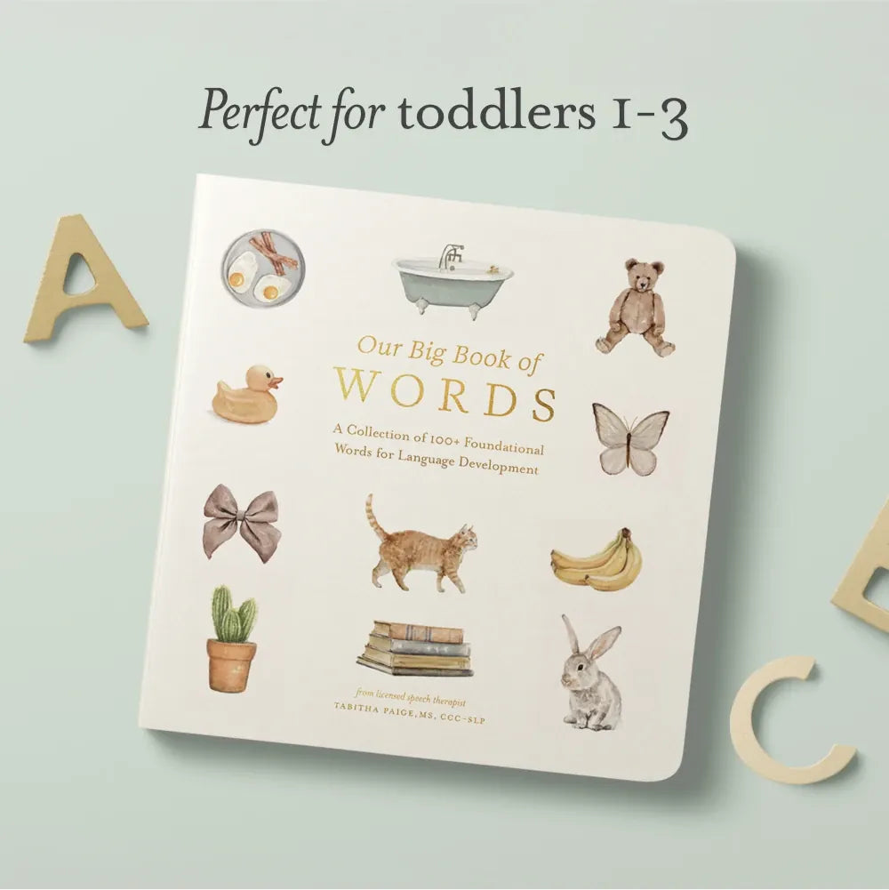 Our Big Book of First Words US - Board book