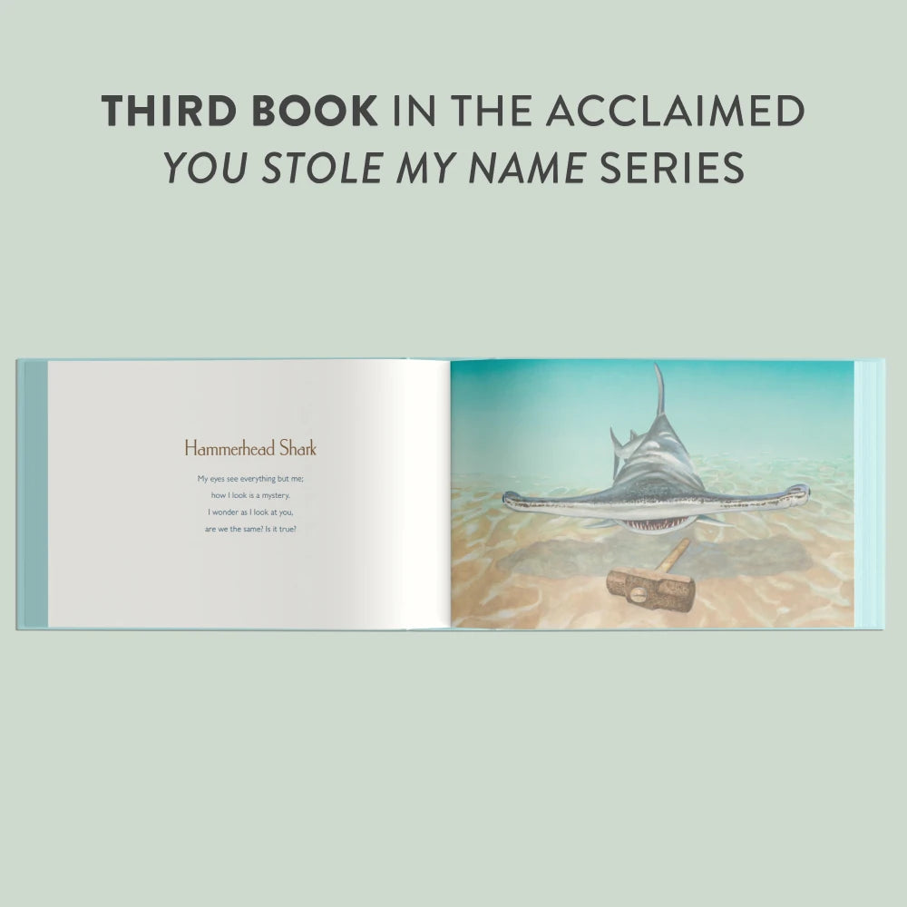 You Stole My Name Tools US - Hardback