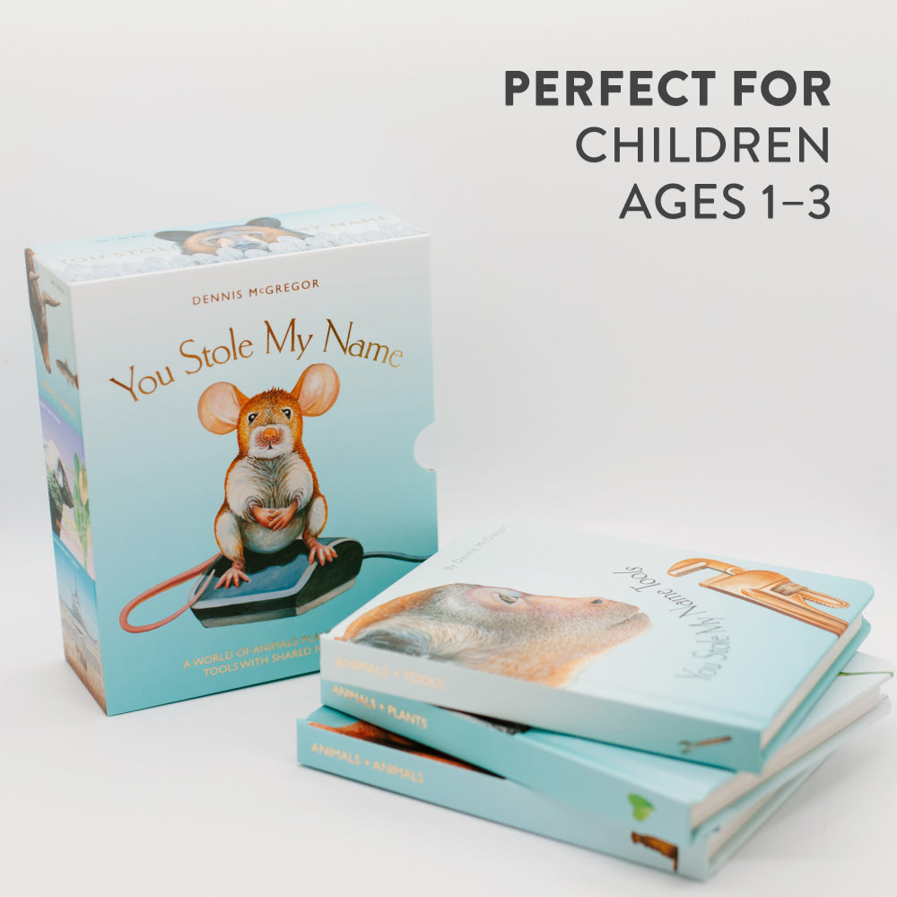 You Stole My Name Board Book Box Set US - Multiple-component retail product, boxed