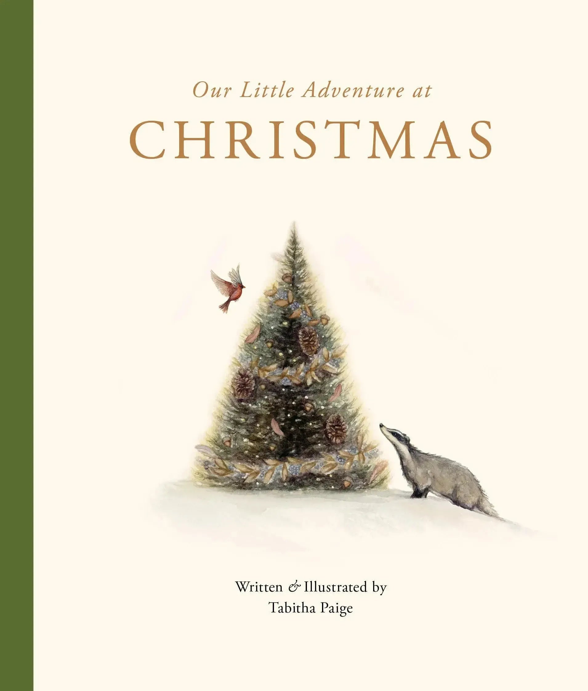 Our Little Adventure at Christmas-Children’s / Teenage general interest: Places and peoples-買書書 BuyBookBook