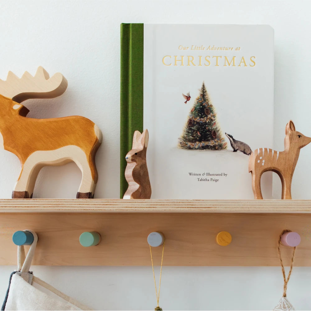 Our Little Adventure at Christmas US - Board book