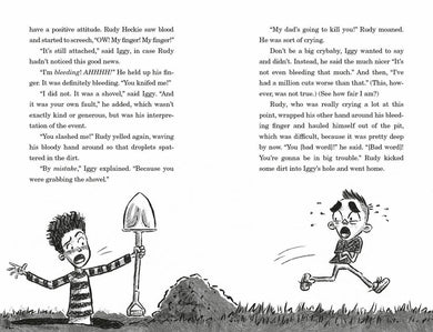 Iggy Is the Hero of Everything US - Hardback
