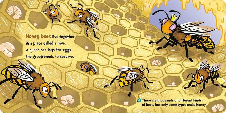 Dr. Seuss Discovers: Bugs US - Board book