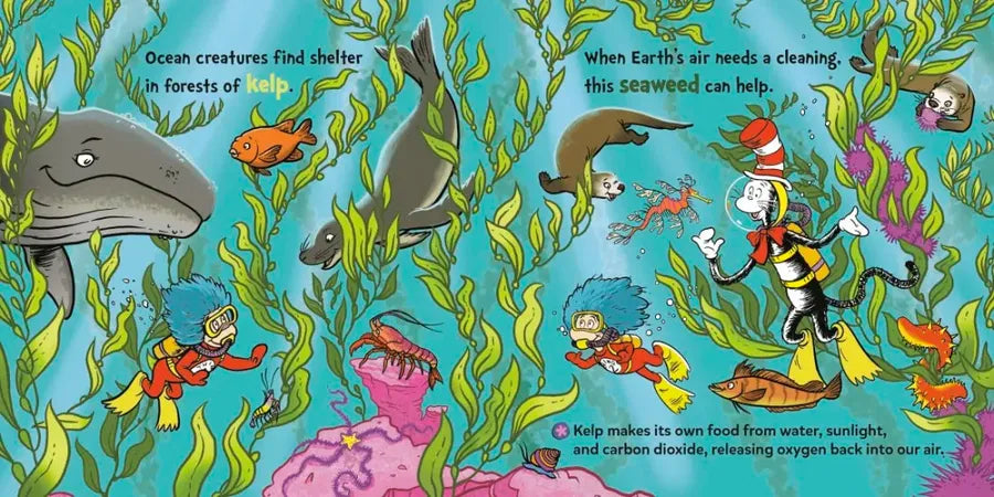 Dr. Seuss Discovers: The Ocean US - Board book