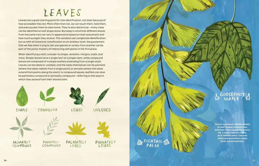 Trees US - Hardback