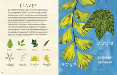 Trees US - Hardback