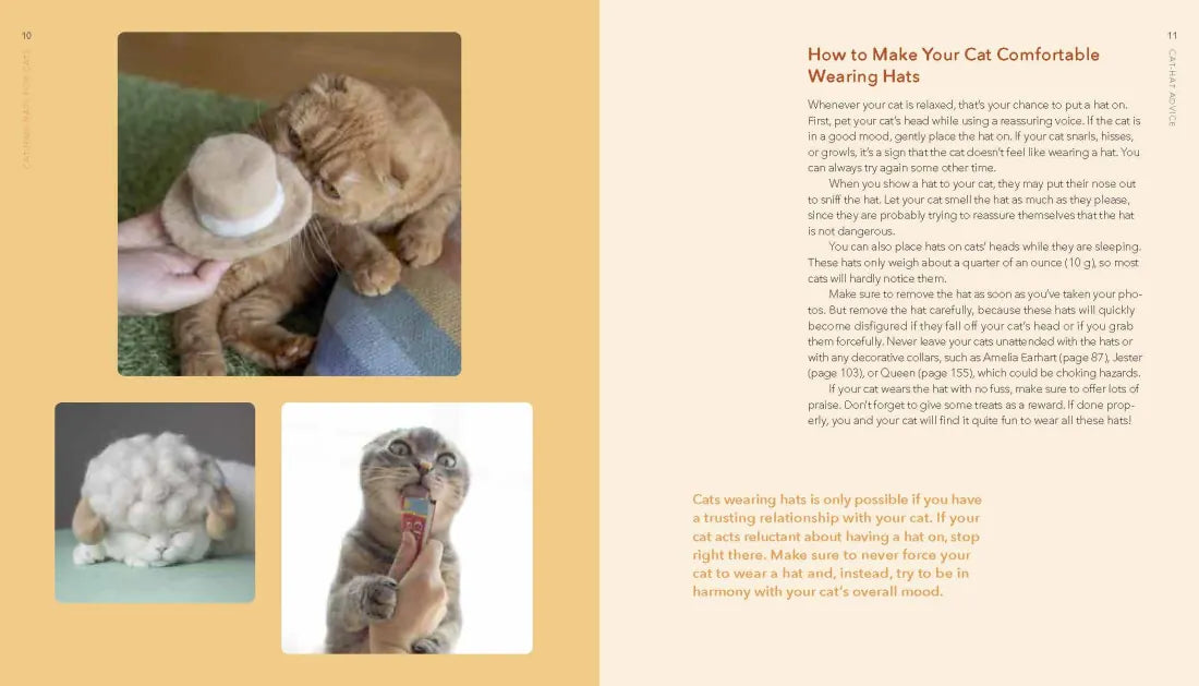 Cat-Hair Hats for Cats US - Hardback