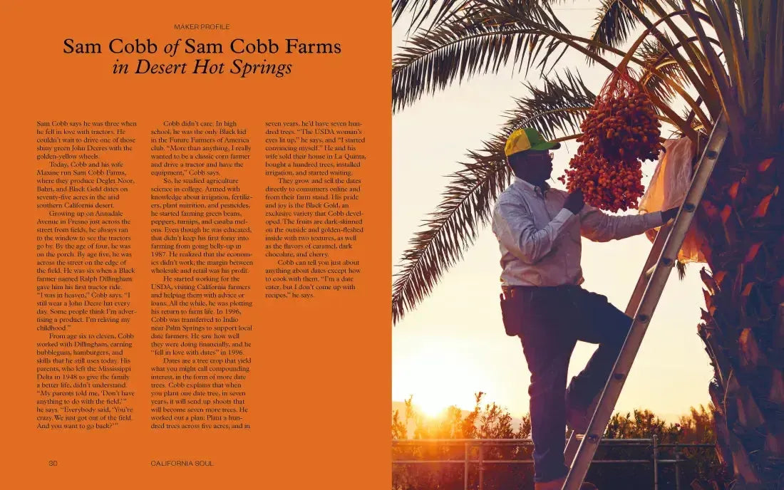 Tanya Holland's California Soul US - Hardback