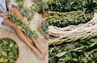 Lei Aloha US - Hardback